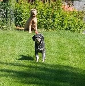 Meet your Posher, Wendy